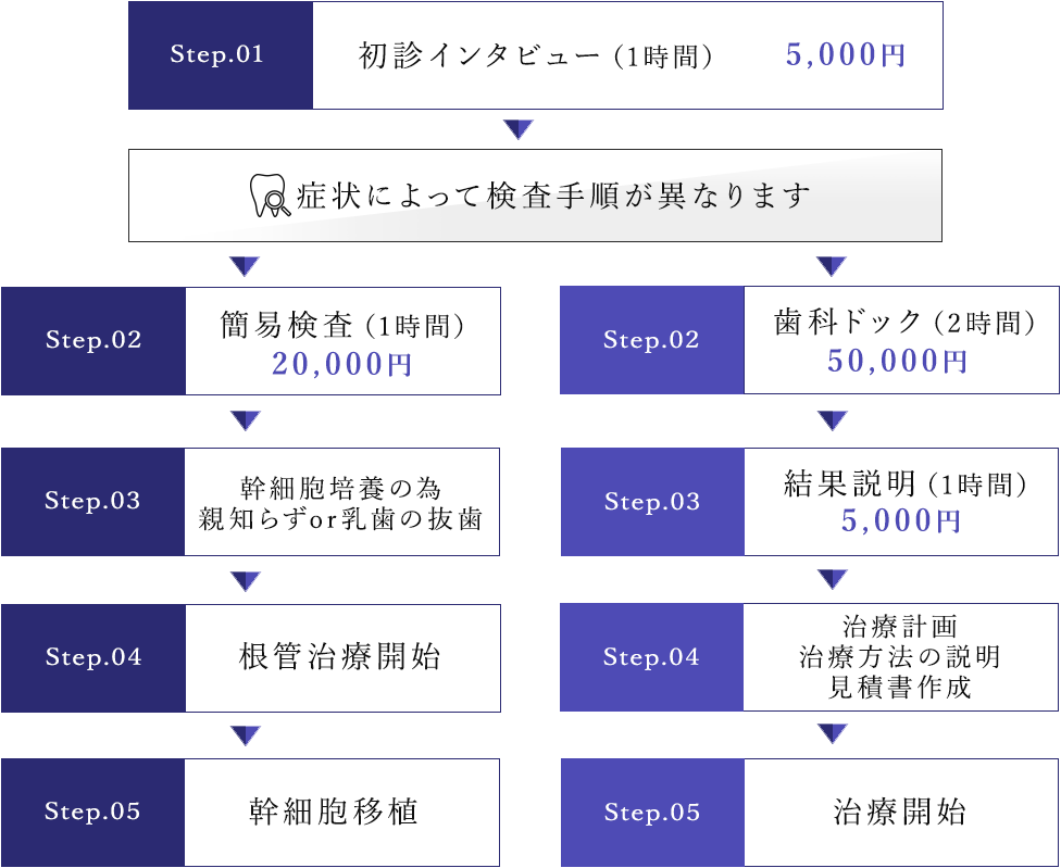 歯髄再生治療の流れ