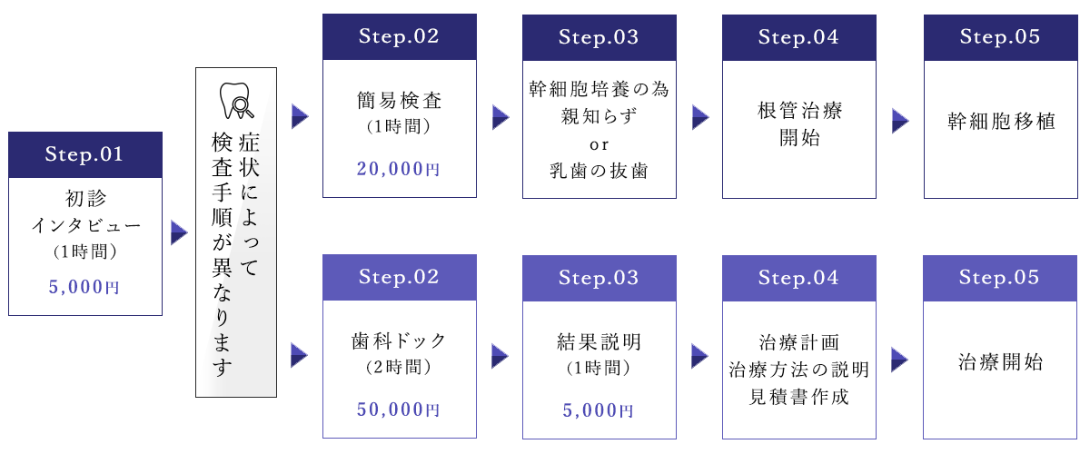 歯髄再生治療の流れ