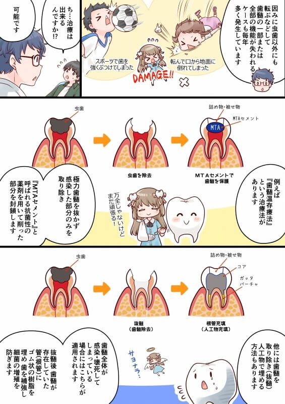 歯髄ちゃん～歯髄再生治療編～